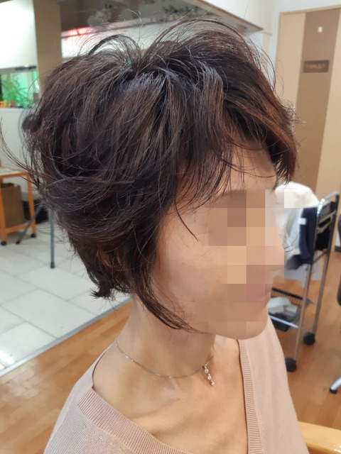 467335251_1125696112893930_1598567097799814758_n