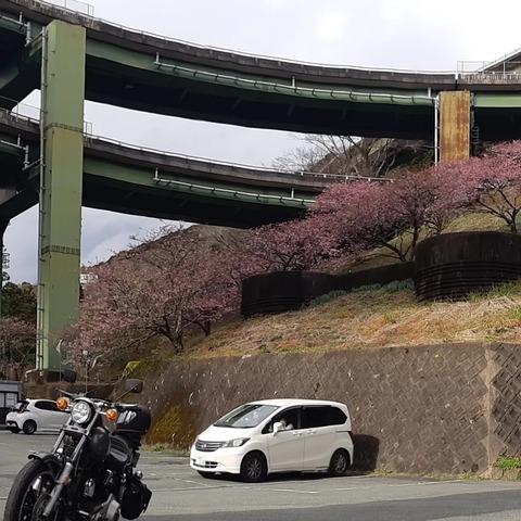 331353552_726280898949821_950875628406367109_n