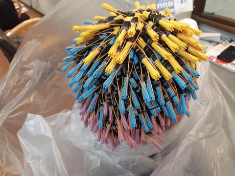 249973869_4676953592369730_1168091684500871252_n