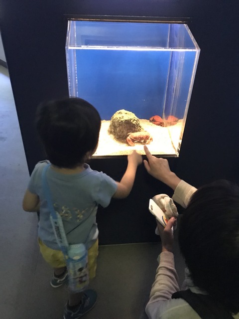 A95C3785-2BED-4ABF-932D-F122C891862A