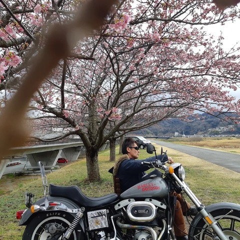 329754867_744514220542471_8711819759225132448_n