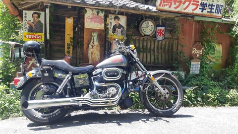 536273253_3685155691616480_7086901306620921462_n