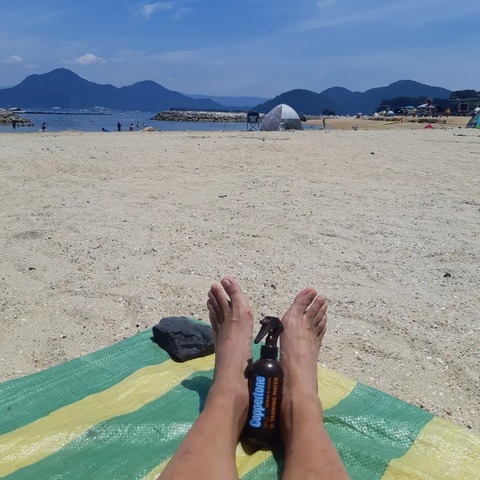 361385072_2978567042275352_1509006712522333346_n