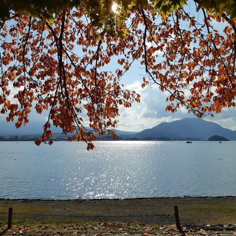 248653131_2447354545396607_3656164784146205934_n