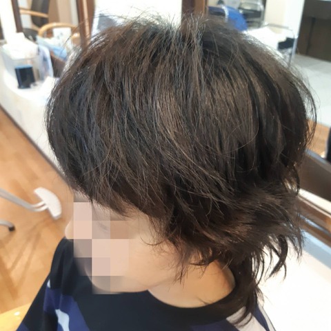 495242042_1271575131639360_443151522838188480_n