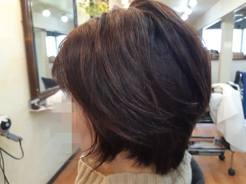 430028704_933956915401185_4286348779878492034_n