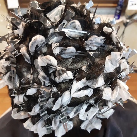 343435187_1252483132322634_6203619328545900982_n