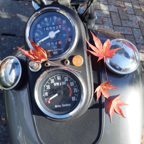 248512121_2447354538729941_1362609938426950595_n