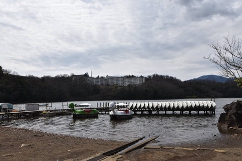 53730246_1950057011783414_7784527876384096256_o