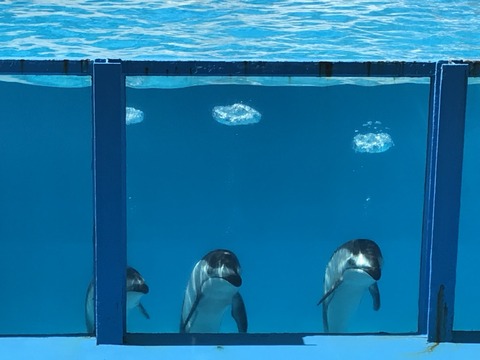 F2DFA708-8BDC-41B9-B1F4-282AC4CDCC14