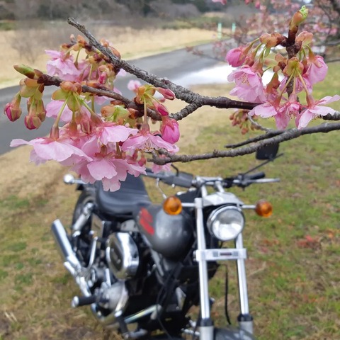 331327771_580359830628881_4045651266412878894_n