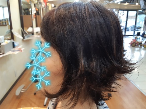 315423423_574627688000778_6916780349798452158_n