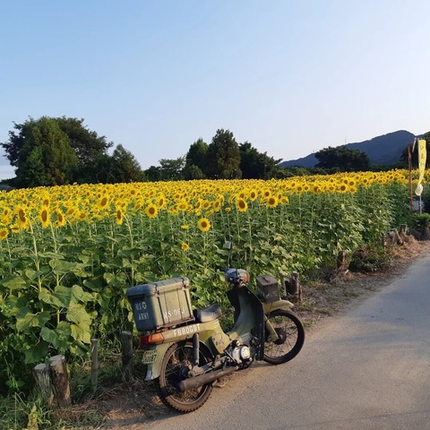 361896861_2982037218595001_8565687290816415156_n