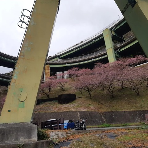 331057106_555416763222111_2779281143926628855_n