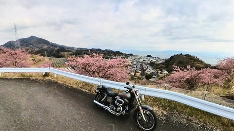 IMG_20260211_090418_00_065_2026-02-27_18-34-04_スクリーンショット