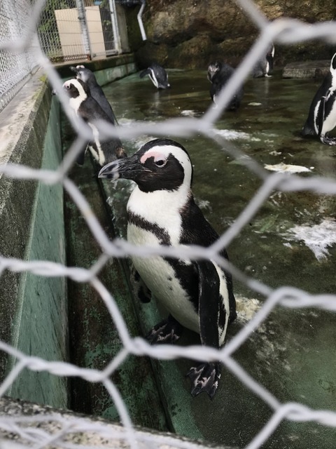 4DF1A0E7-2A73-4254-AAF2-5846409A6A35