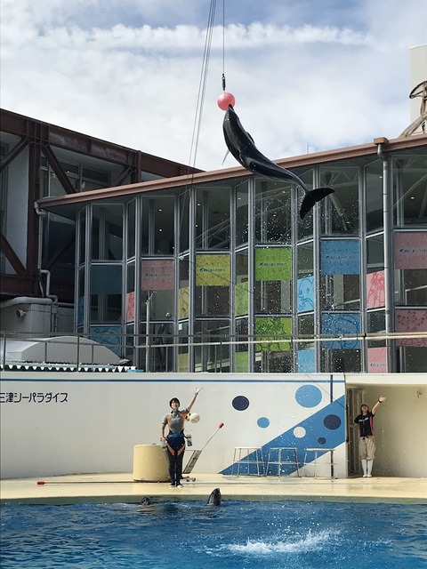 E004AF24-B12B-481C-9A47-7D6292A572C7