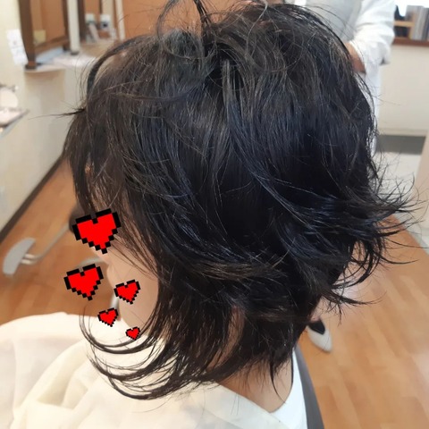 313227504_560768199386727_8619886219386204363_n