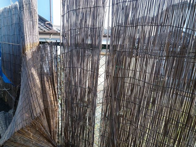 P1100438.jpg