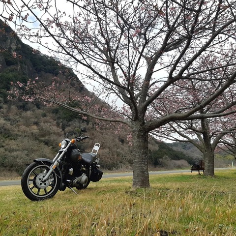 329149780_1639407936508606_2081422532333299994_n