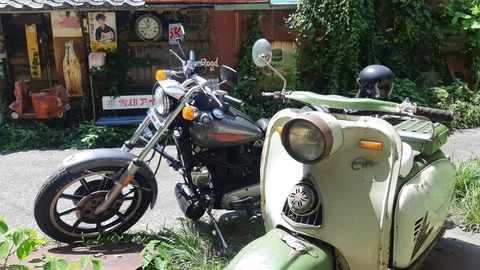 535572451_3685159171616132_6636984847301350038_n