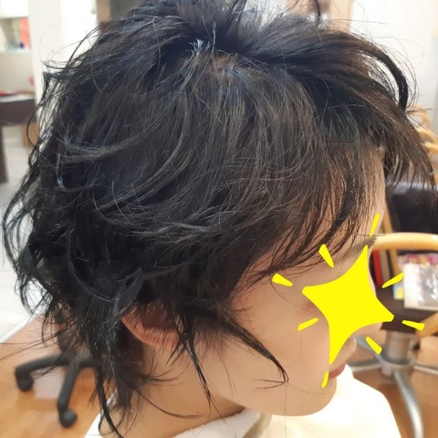 312298301_560768186053395_6643411483786850288_n