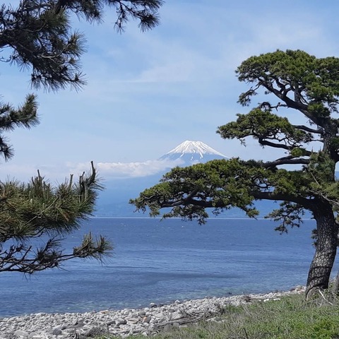 279893055_2603731089758951_6756684102677410349_n