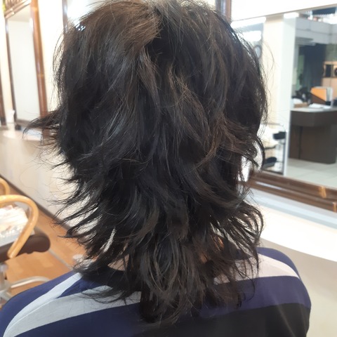 495041729_1271589464971260_8700704277135680779_n