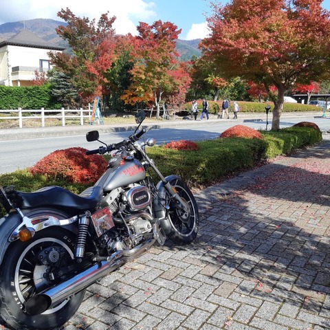 247735150_2447354552063273_4296521725546289403_n