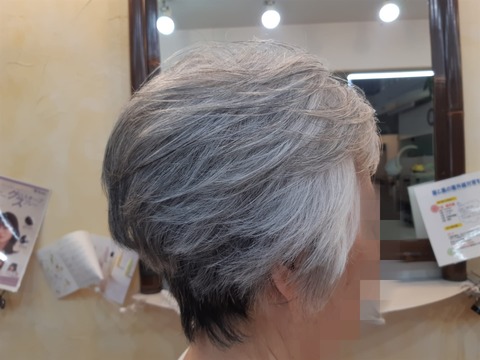 453250587_1036249345171941_4623375580613611054_n