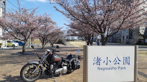 617616336_3868691793262868_8414211388649479783_n