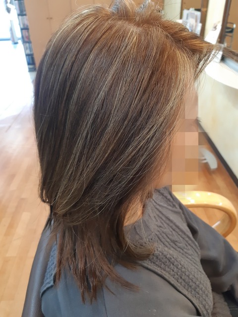 487401858_1237216155075258_8586629237469178464_n