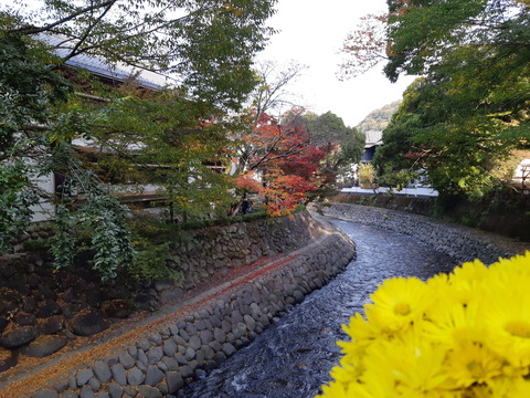 20201116_145348
