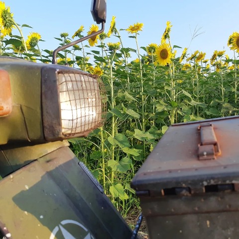 362648295_2982037215261668_7667740681213760502_n