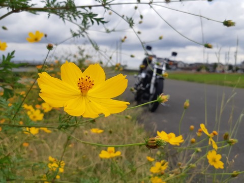 312830086_2752876874844371_3463196150259236129_n