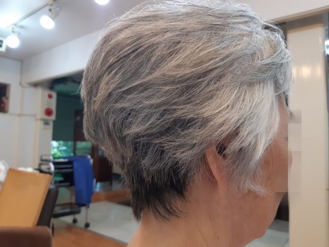 453407984_1036249298505279_7753408430378953320_n