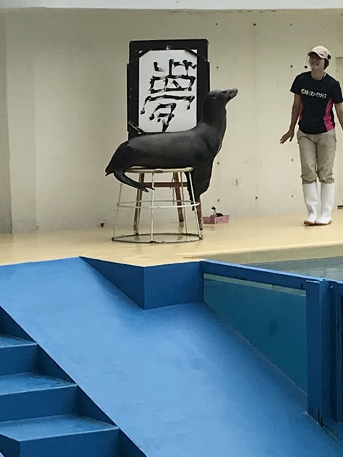 C3AE584F-BC3A-4D83-9C9E-FB78D8CDBBBB