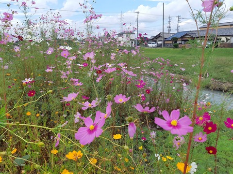 312490884_2752878271510898_7649118103155540374_n