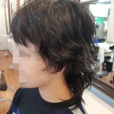 495569520_1271575178306022_3026300654383678524_n