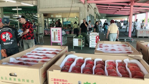 36858337_2136406679976886_296574715923791872_n