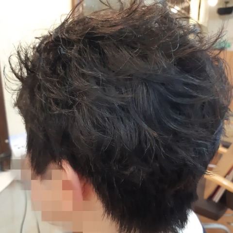 343343426_6382378261806713_6337338458850786393_n