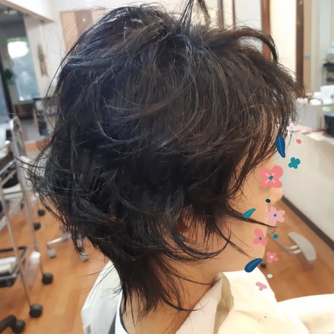 313106930_560768192720061_4829750422442473150_n