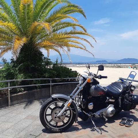 359857082_2978567025608687_3258841449316982883_n