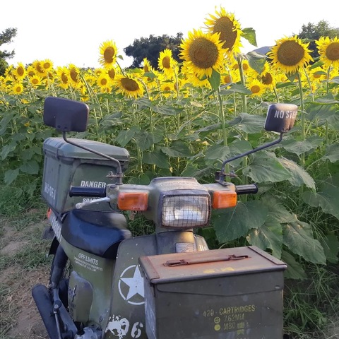 362295471_2982037225261667_3457105312914996567_n