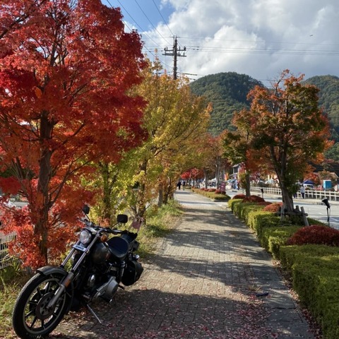 249001983_2447354532063275_2770785386881233760_n