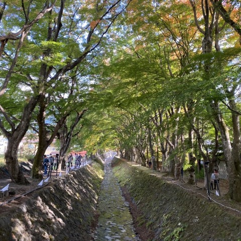 251035277_2447418085390253_7213787899904510801_n