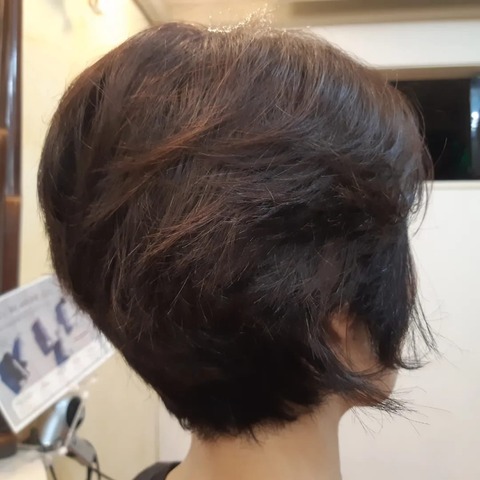 449451400_1029011789229030_894647522600111027_n