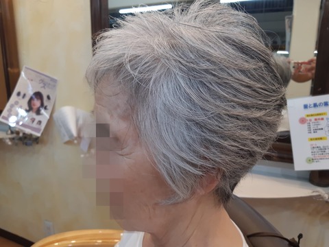 453259357_1036249181838624_7621562545987261936_n