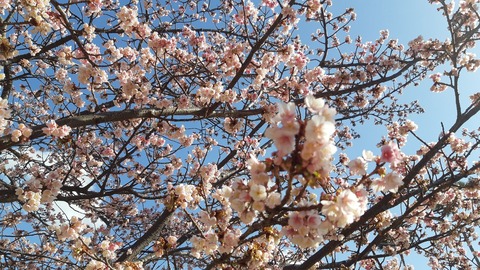 622274870_3872368922895155_633950634282004254_n