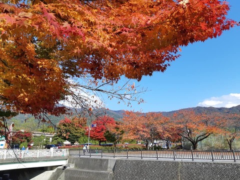 256288824_2454051498060245_4991938876903790821_n